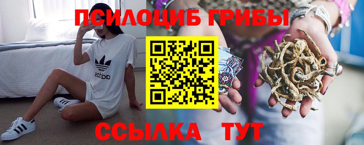 Кузнецк  Псилоцибиновые грибы Magic Shrooms  Вход с VPN 