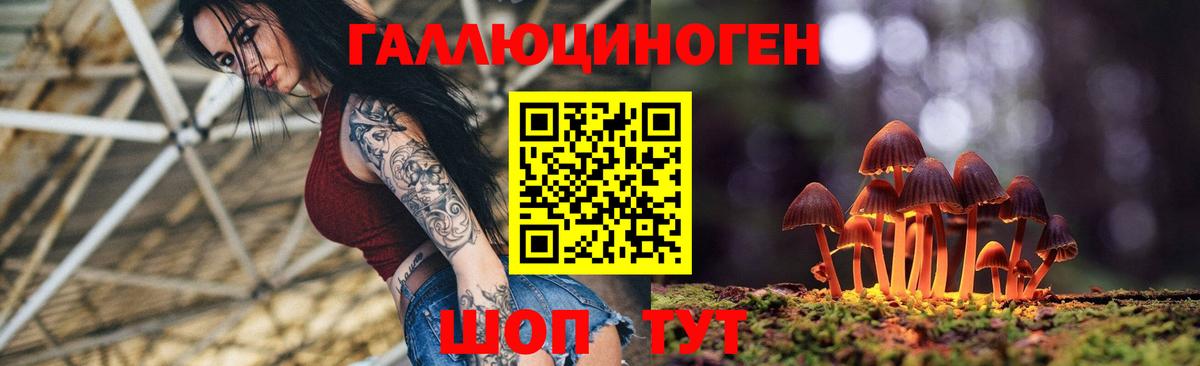 Галлюциногенные грибы прущие грибы Кузнецк